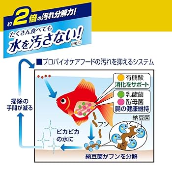Amazon | 金魚元気 プロバイオケアフード 沈下性 70g | GEX | 餌